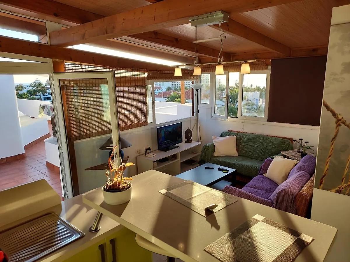 Chill Out Apartment Tenerife Arona   Arona (Tenerife)